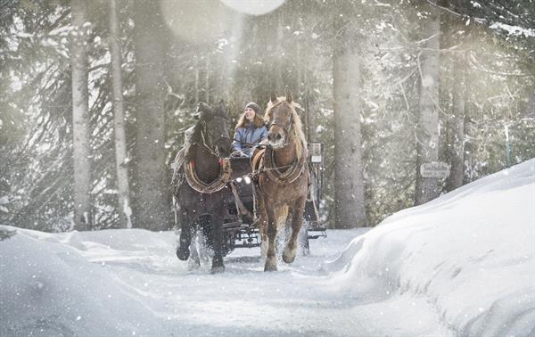 <span class="titleneu">Horse-Drawn Sleigh</span>